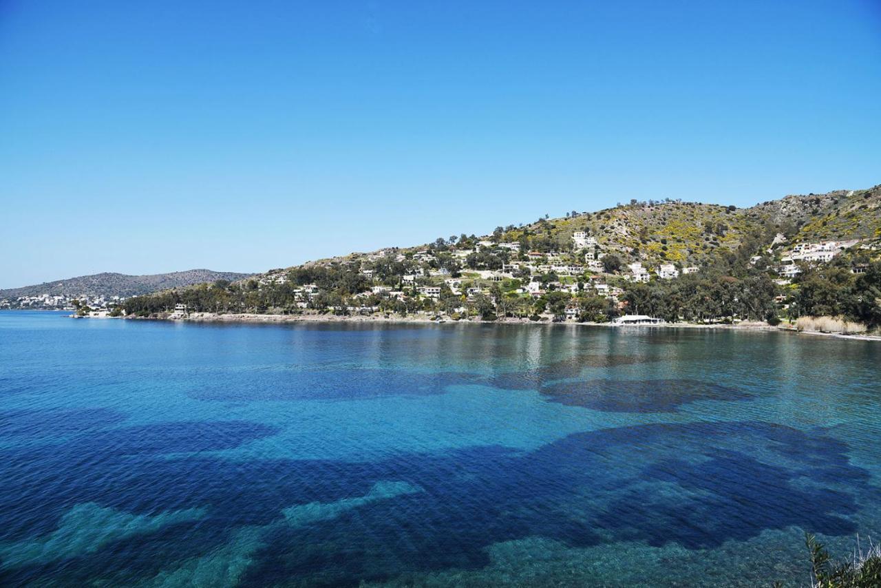 180° View To Sea Villa Vathí Екстериор снимка